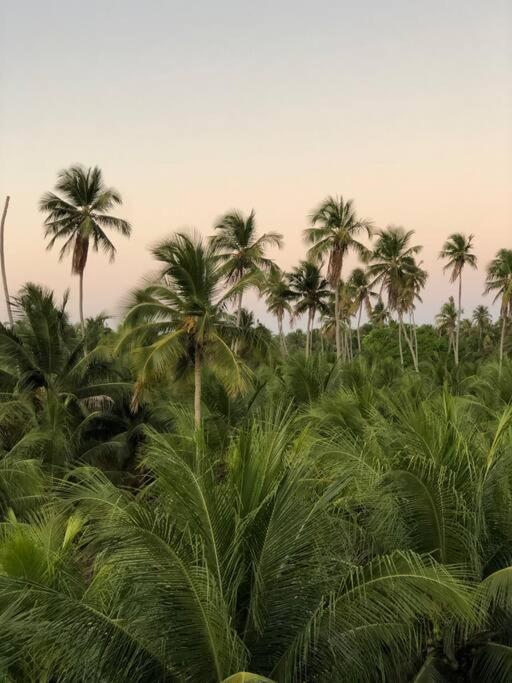 Recanto Dos Coqueirais São Miguel dos Milagres Exterior foto